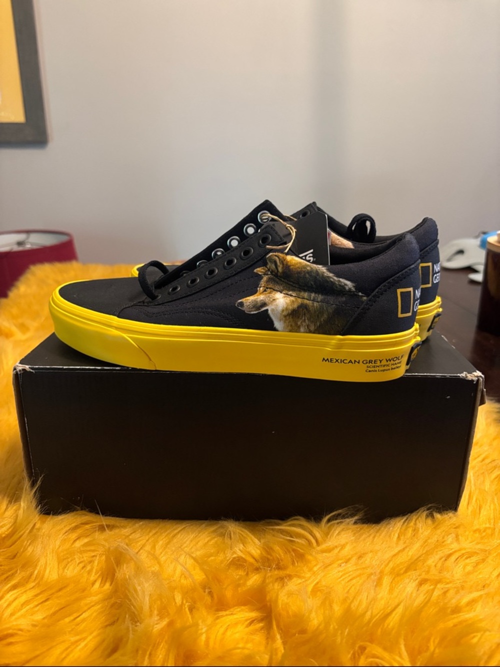 Vans Low-Top Men’s Sneakers - Black and National Geographic 7.0 women 8.5